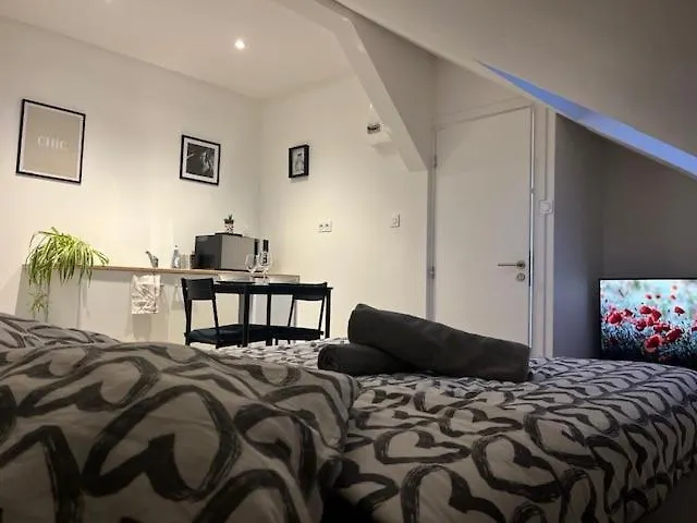 Cosy Rent Studio 1 -gare - Tv - Wifi Апартаменты Страсбург