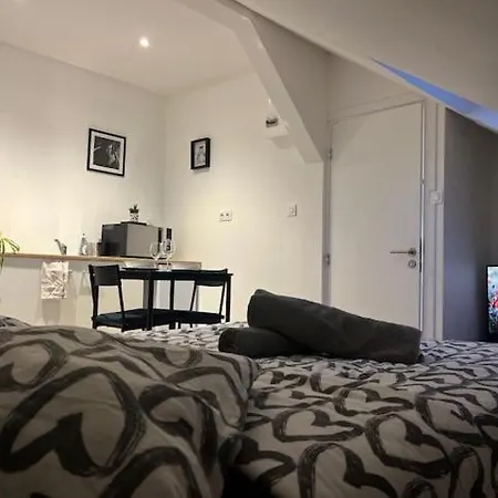 Cosy Rent Studio 1 -gare - Tv - Wifi Apartament Strasburg