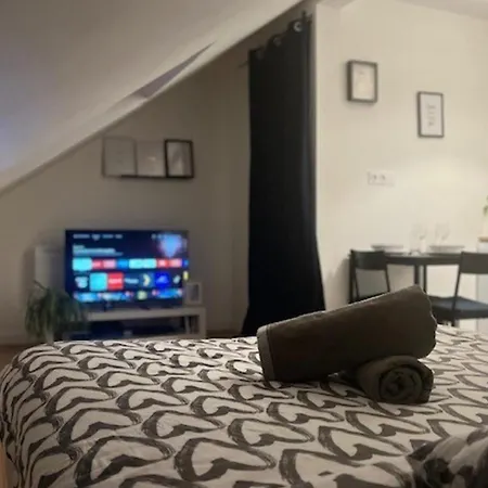 Apartament Cosy Rent Studio 1 -gare - Tv - Wifi Strasburg