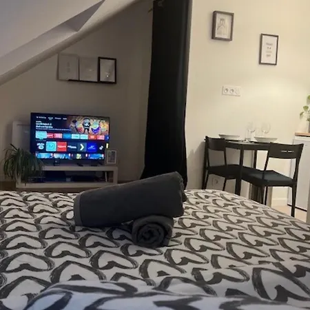 Cosy Rent Studio 1 -gare - Tv - Wifi Apartament *
